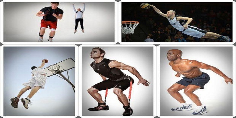 Best Vertical Jump Training Exercises To Increase Your Vertical Leap