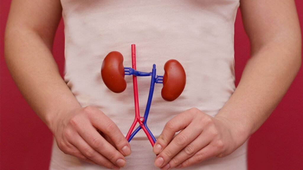 Kidney Damaging Habits