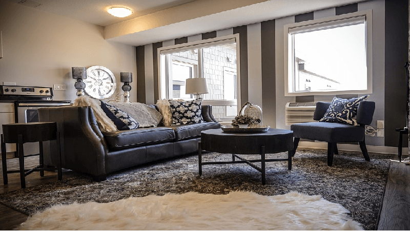 Home Decor: Best Living Room Rug Ideas