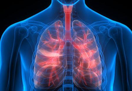 The 6 Most Common Types Of Respiratory Disease You Should Know