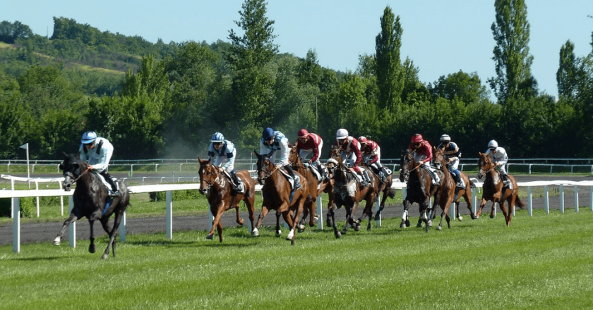 What are the Differences Types of Horse Racing Bets?