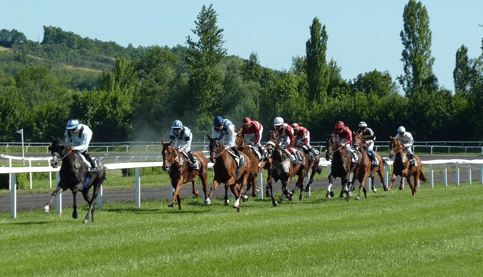 Horse Racing